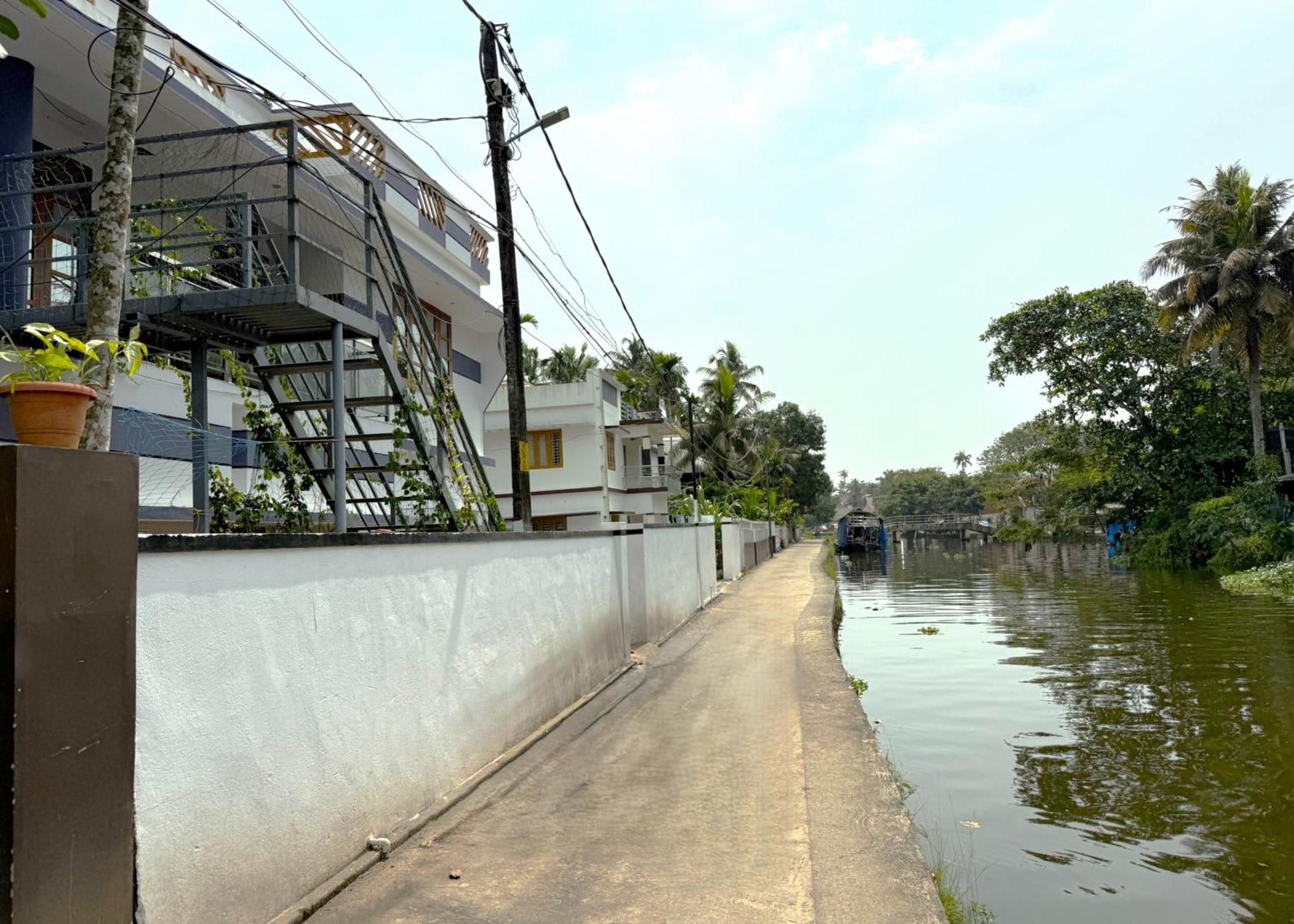 Paddy N Canal *